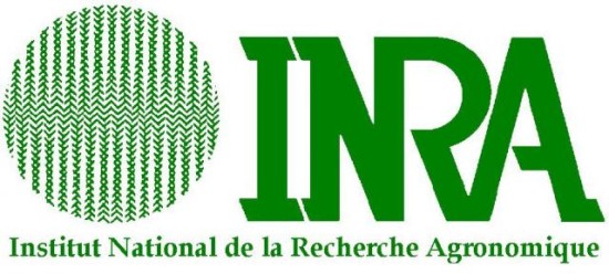 12/07/2013 - Pratiques réglementaires et planification d'urbanisme