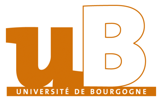 Appel à communication - Relations numériques, rapports numérisés 